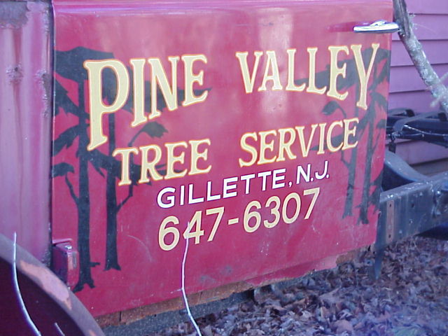 Pine Valley Tree Service
From Todd Somers
